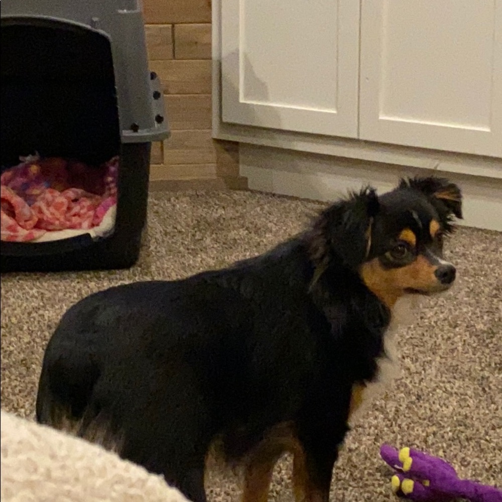 Meet your Posher, Carrie